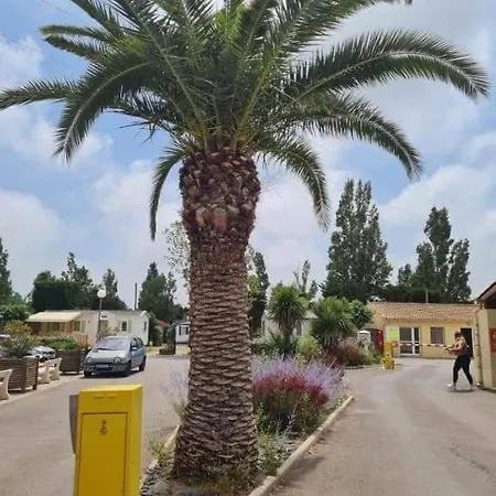 Thero418 * Vic-la-Gardiole